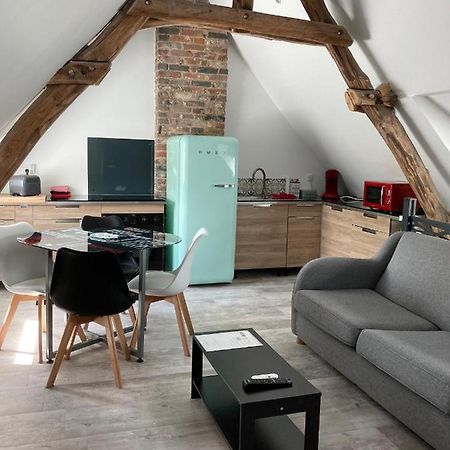 Au Cochon Qui Rit Apartment Flines-Les-Mortagne Luaran gambar