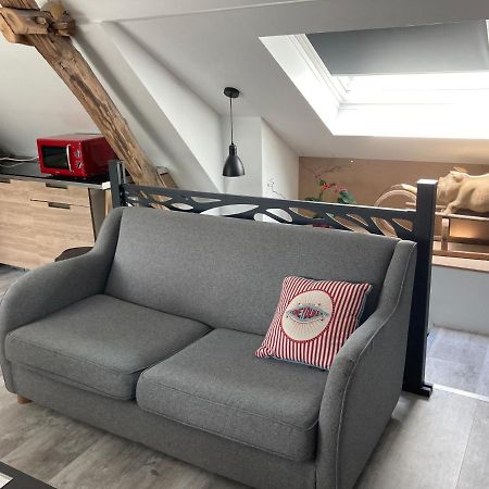 Au Cochon Qui Rit Apartment Flines-Les-Mortagne Luaran gambar